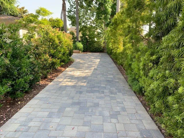 Expert residential landscaping experts serving Torrance, CA - Finley's Tree and Land Care