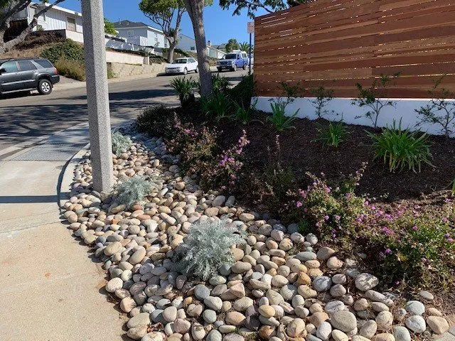 Trusted yard cleanup service experts serving Torrance, CA - Finley's Tree and Land Care