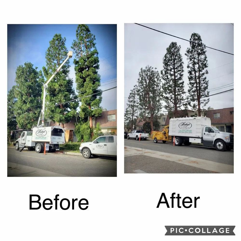 Trusted garden landscaping in Torrance, CA by Finley's Tree and Land Care