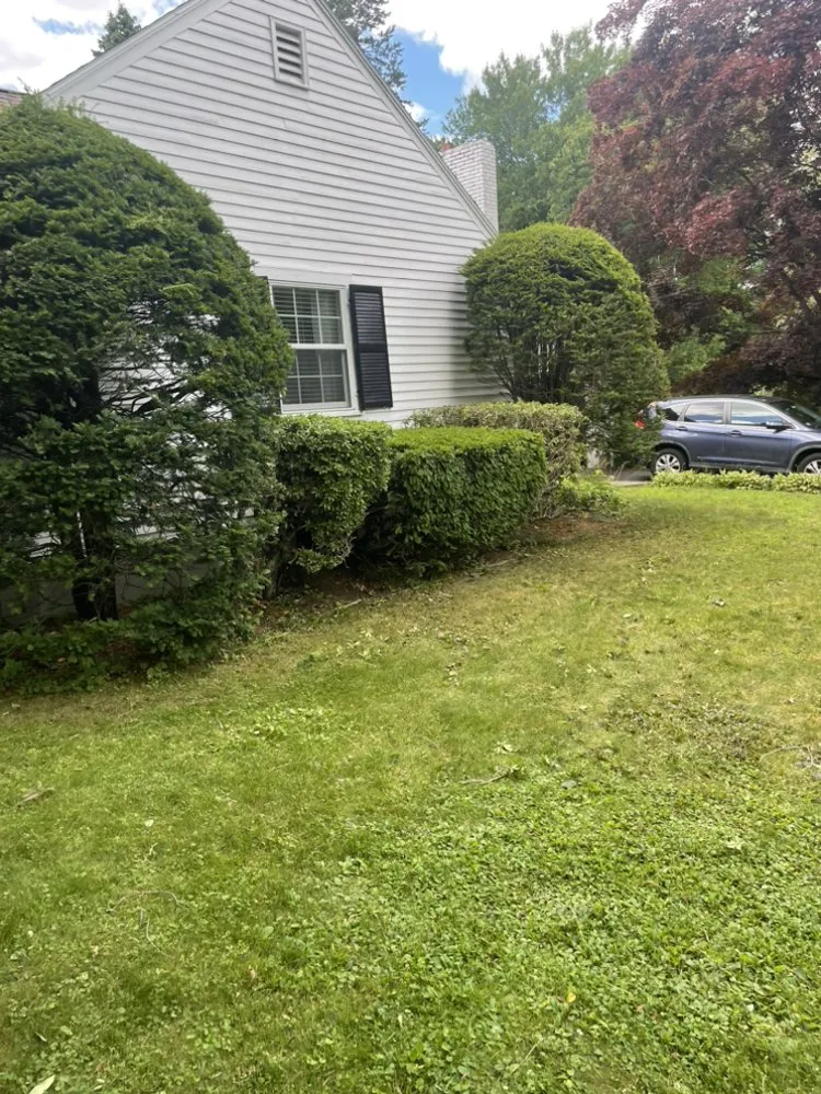 Local lawn mowing service in Wilmington, MA - Finnegan’s Landscaping