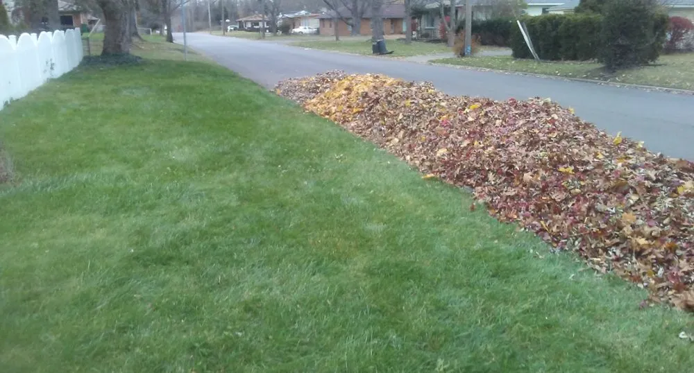 Expert landscaping services for beautiful yards in Kent, OH by Finns Landscaping Services