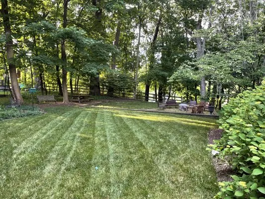 Finns Landscaping Services