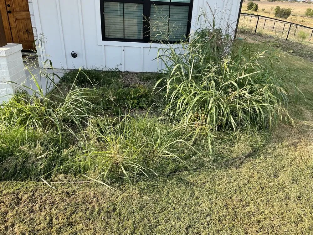 Affordable landscape design for outdoor upgrades across Godley, TX - Finn's Lawn Care Services