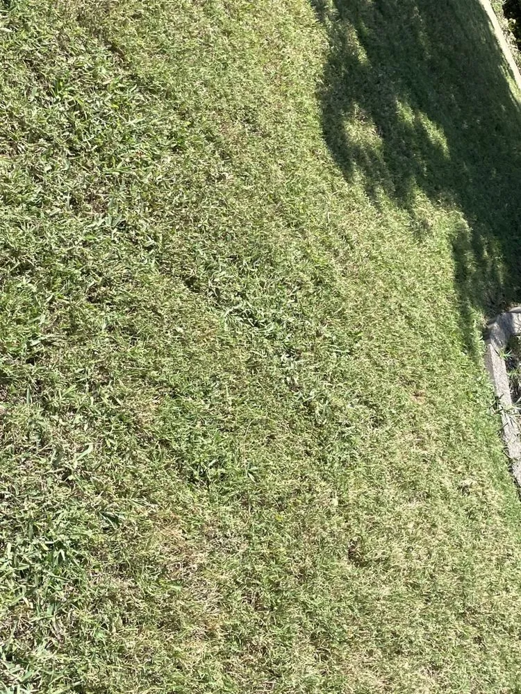 Professional lawn care service for outdoor upgrades across Godley, TX - Finn's Lawn Care Services