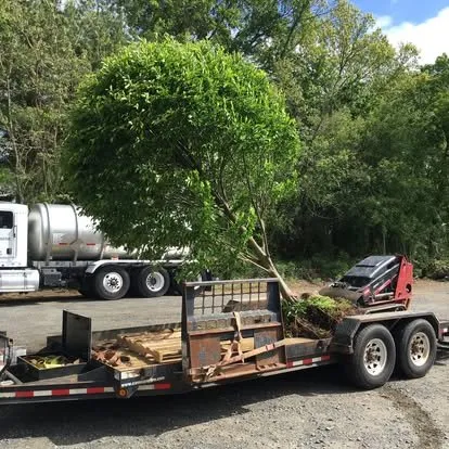 Custom outdoor landscaping for residential properties across Port Charlotte, FL - Fiorello Landscaping