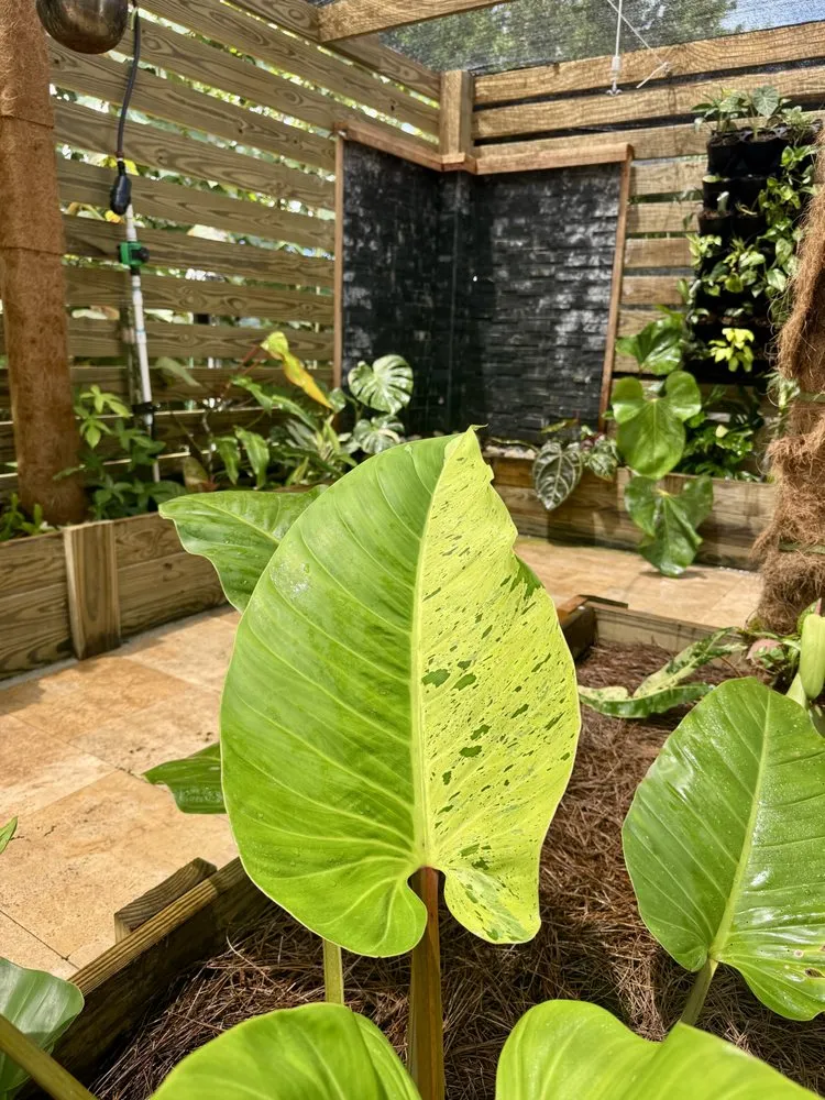 Custom lawn mowing service in Fort Myers, FL - Fiores