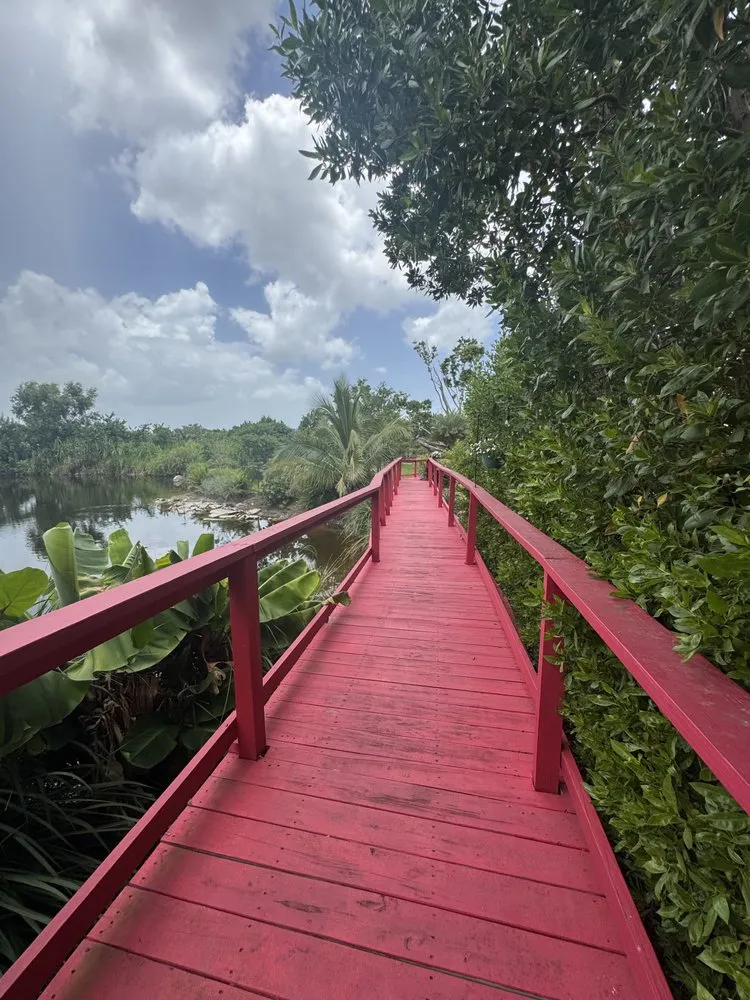 Top-rated landscape installation with custom design across Fort Myers, FL - Fiores
