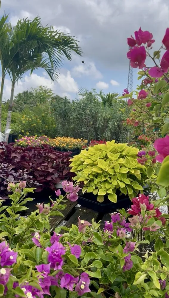 Top-rated lawn mowing service for residential properties across Fort Myers, FL - Fiores