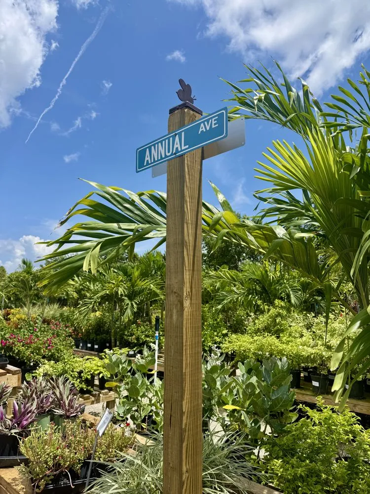 Professional landscape design for outdoor upgrades in Fort Myers, FL by Fiores