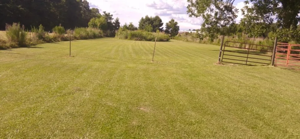 Custom garden landscaping in Cerro Gordo, NC by Fipps Handy services