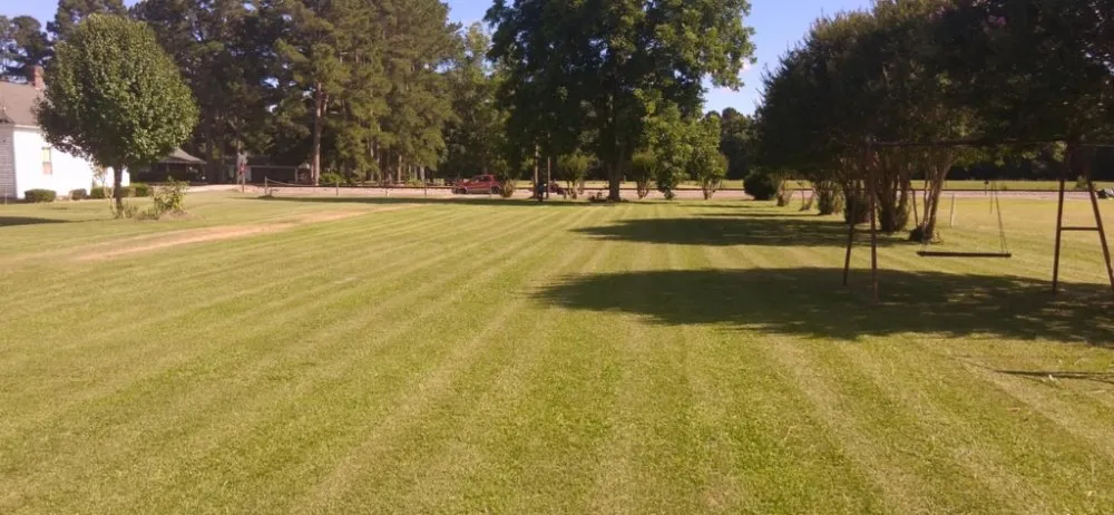 Professional outdoor landscaping for year-round maintenance across Cerro Gordo, NC - Fipps Handy services