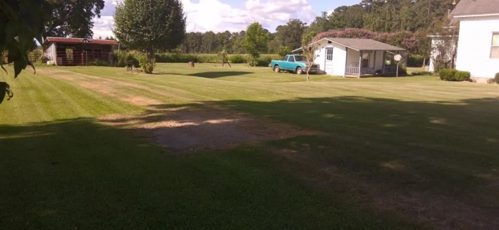 Expert lawn mowing service for homes in Cerro Gordo, NC by Fipps Handy services
