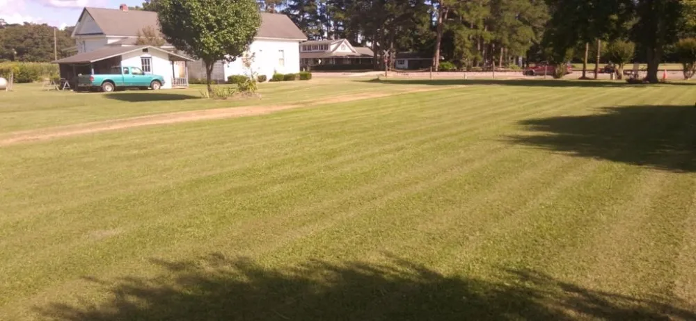Professional yard cleanup service in Cerro Gordo, NC by Fipps Handy services
