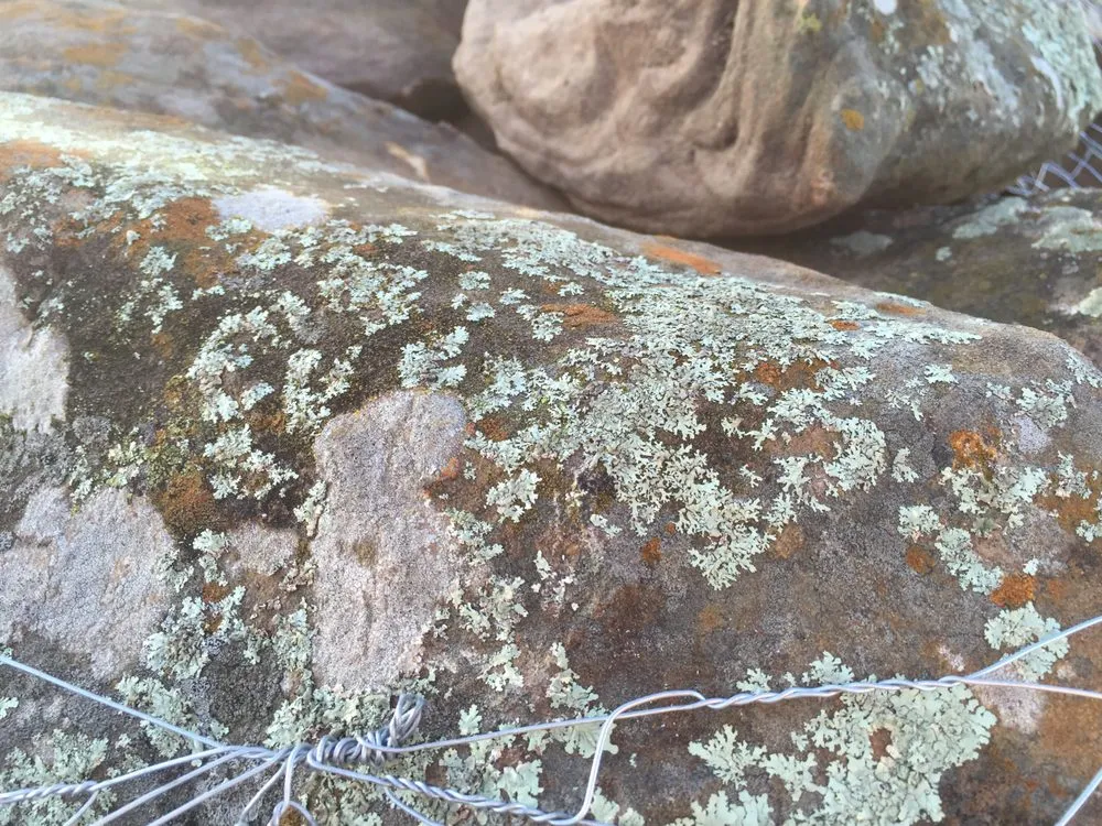 Trusted garden landscaping for beautiful yards across Wolfforth, TX - Fire and Ice Firewood