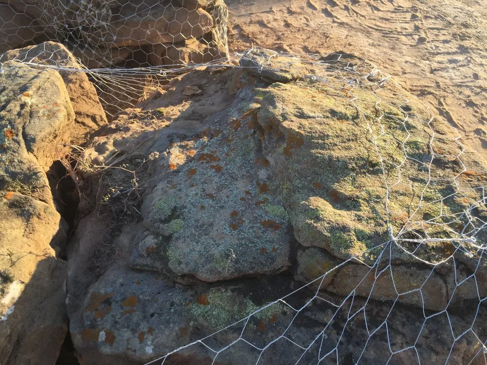 Reliable landscaping services in Wolfforth, TX by Fire and Ice Firewood