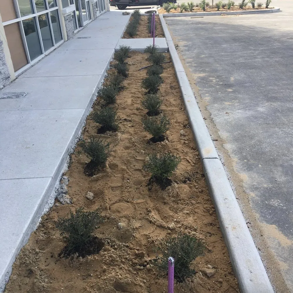 Top-rated garden landscaping in Ocoee, FL - Fire bird Lawn Care