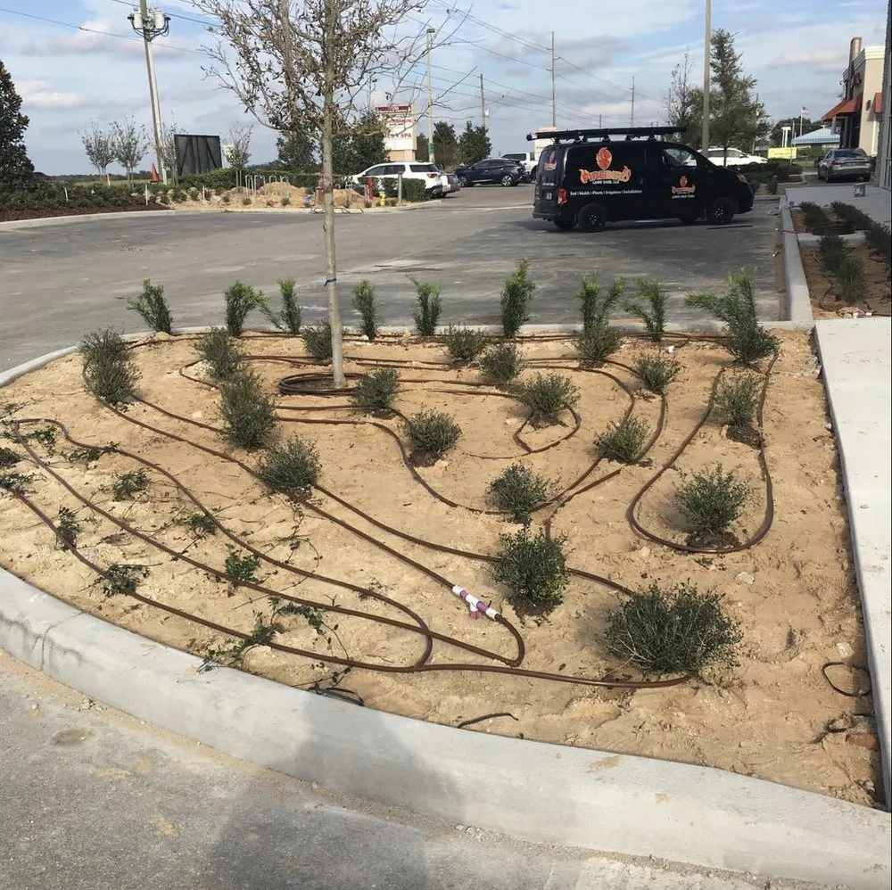 Trusted yard maintenance experts serving Ocoee, FL - Fire bird Lawn Care