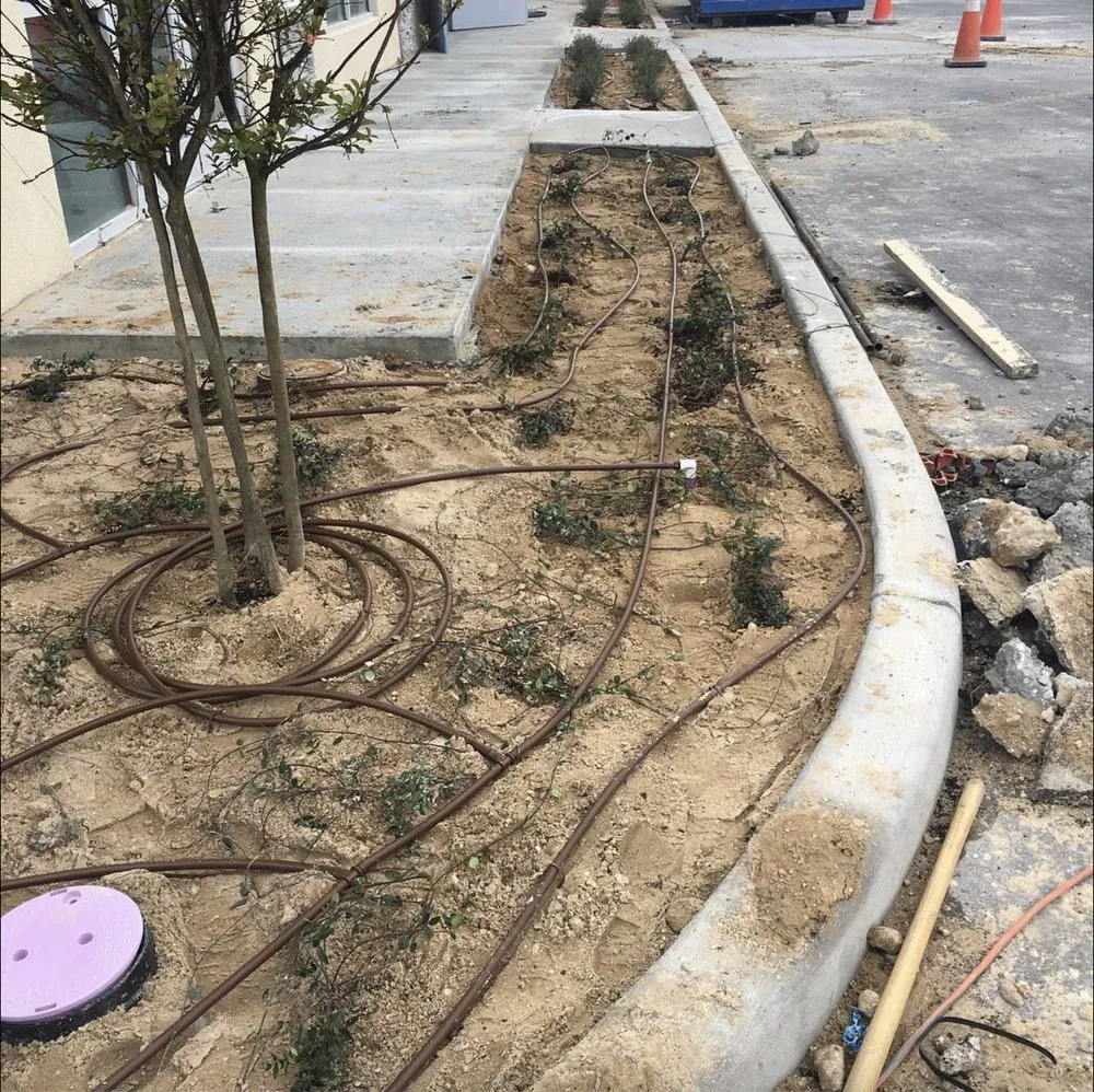 Expert lawn care service experts serving Ocoee, FL - Fire bird Lawn Care