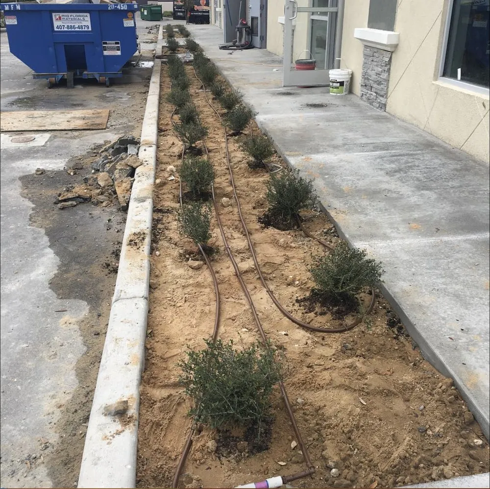 Local lawn mowing service experts serving Ocoee, FL - Fire bird Lawn Care