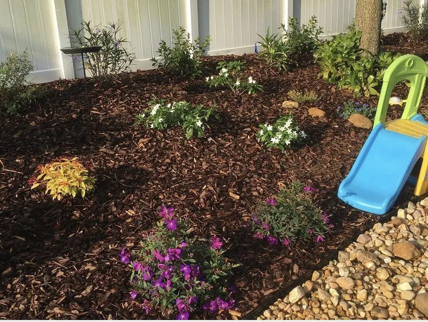 Custom yard maintenance in Ocoee, FL by Fire bird Lawn Care