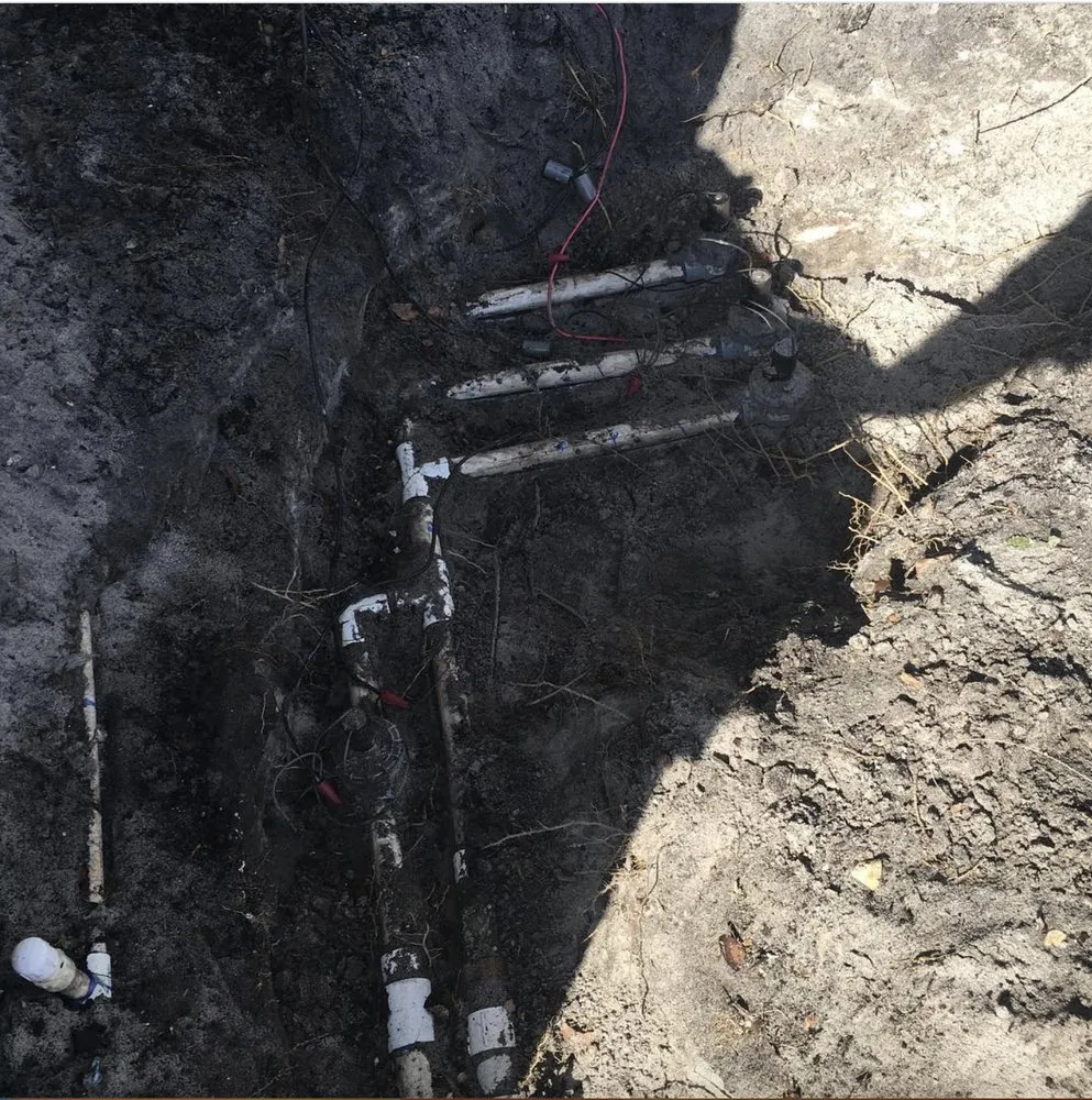 Custom lawn care service in Ocoee, FL by Fire bird Lawn Care