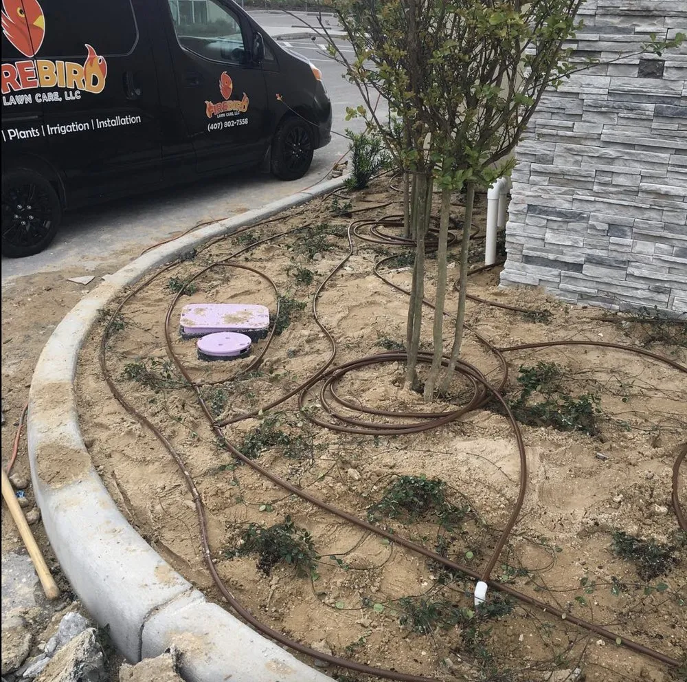 Professional landscape installation experts serving Ocoee, FL - Fire bird Lawn Care