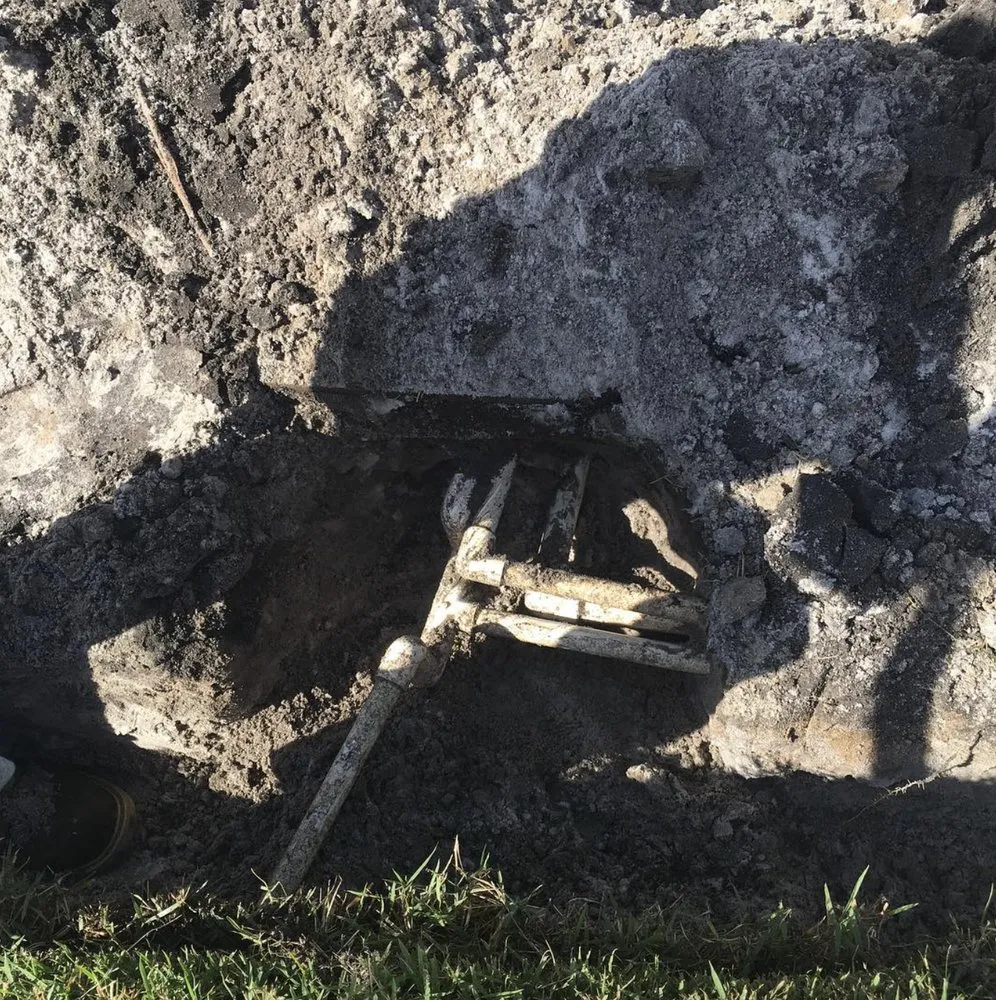 Affordable garden landscaping in Ocoee, FL by Fire bird Lawn Care