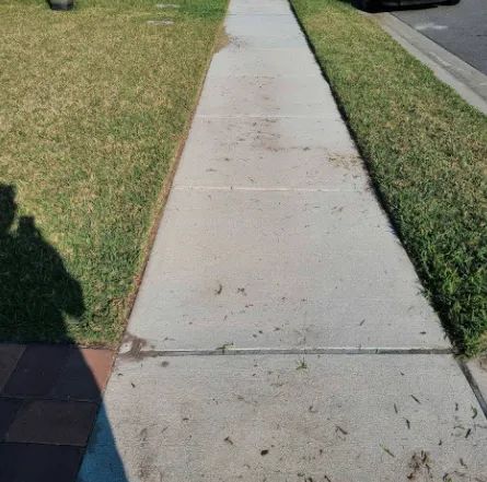 Reliable yard maintenance experts serving Davenport, FL - Fire Blades of Florida