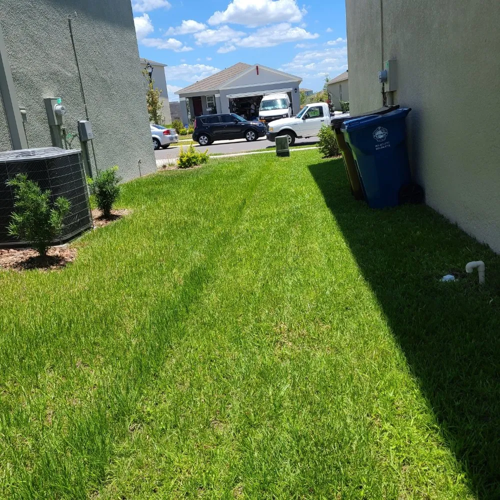 Professional landscape installation for beautiful yards across Davenport, FL - Fire Blades of Florida