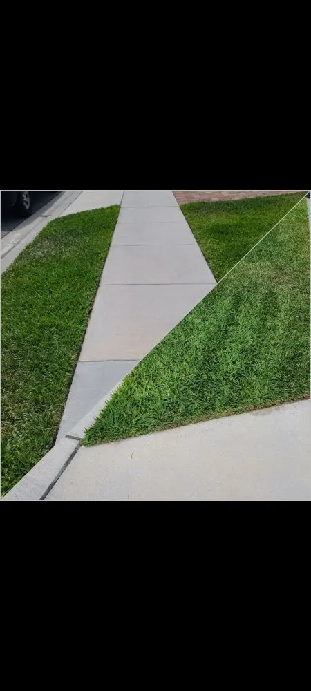 Custom landscape installation for residential properties in Davenport, FL by Fire Blades of Florida