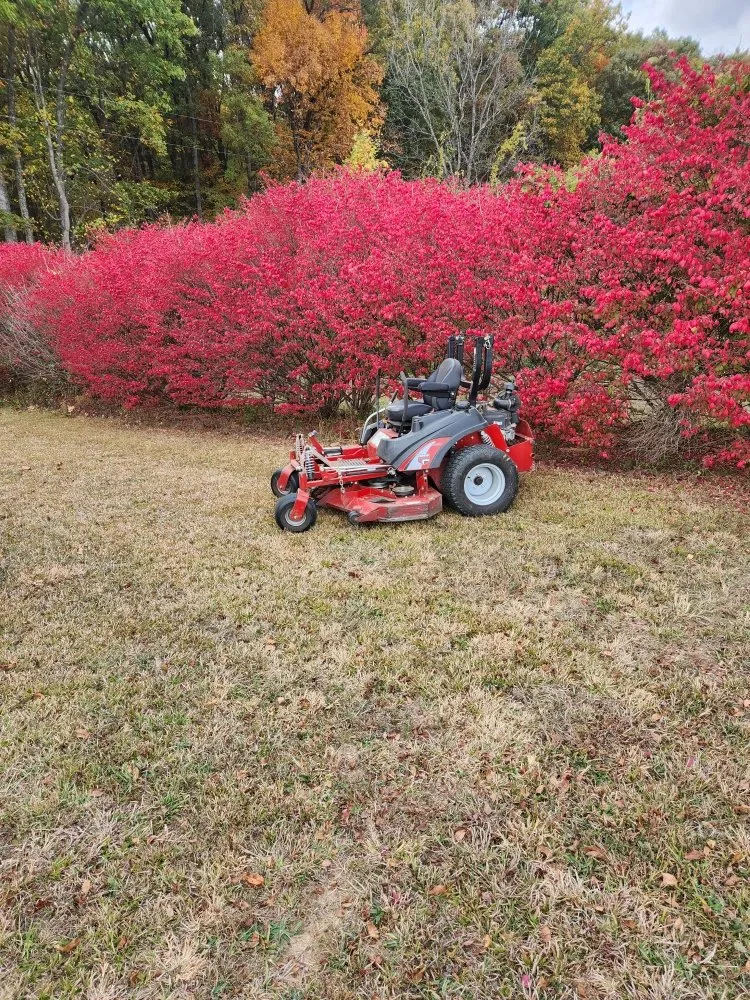 Professional lawn care service in Lexington, IN - Fire Family Lawncare