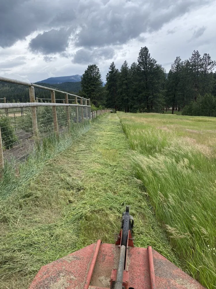 Reliable lawn mowing service in Darby, MT - Fire Fox Land Management