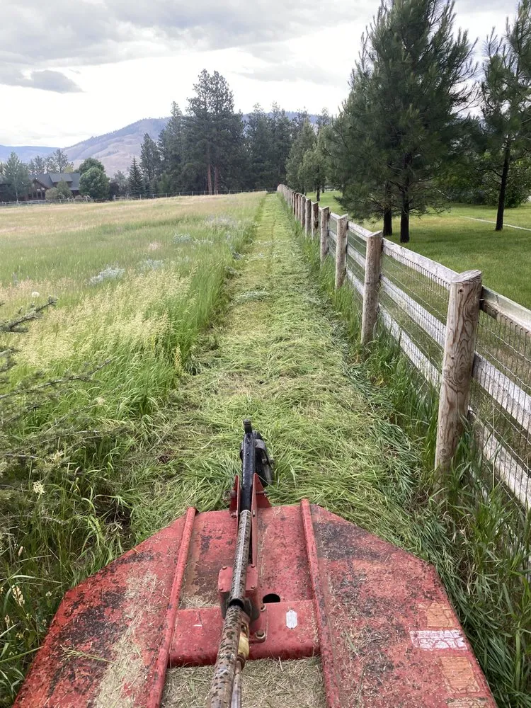 Affordable yard cleanup service for homes in Darby, MT by Fire Fox Land Management