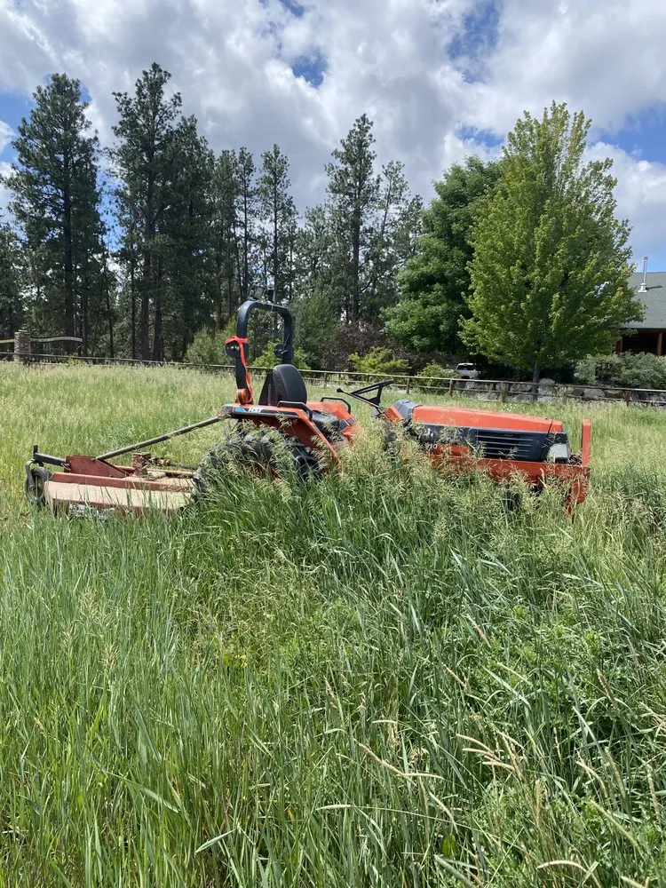 Expert yard cleanup service in Darby, MT by Fire Fox Land Management