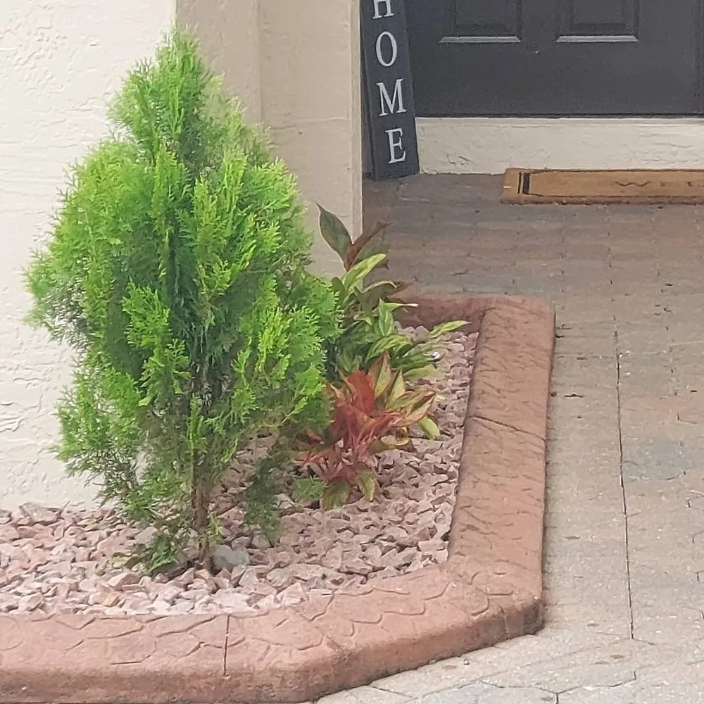 Trusted landscape installation experts serving Miramar, FL - Fire Marshal Dave Landscaping