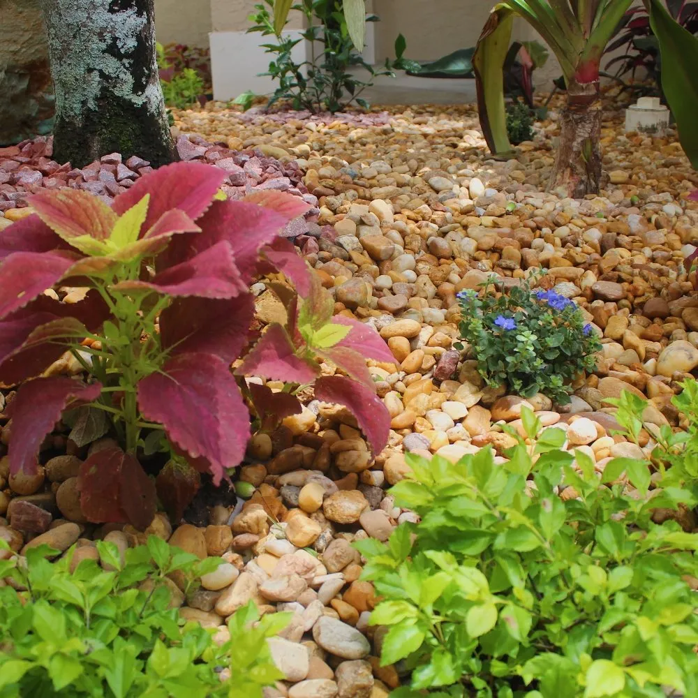 Professional residential landscaping with custom design in Miramar, FL by Fire Marshal Dave Landscaping