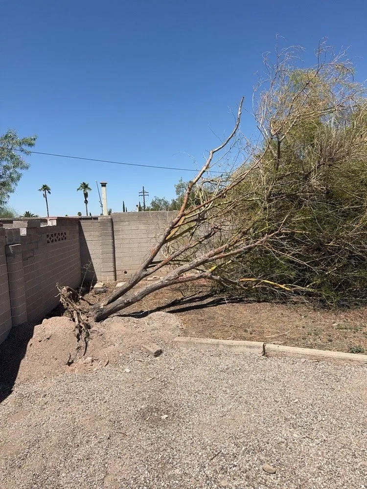 Local outdoor landscaping for outdoor upgrades across Rincon Valley, AZ - Fire Mountain Land Services