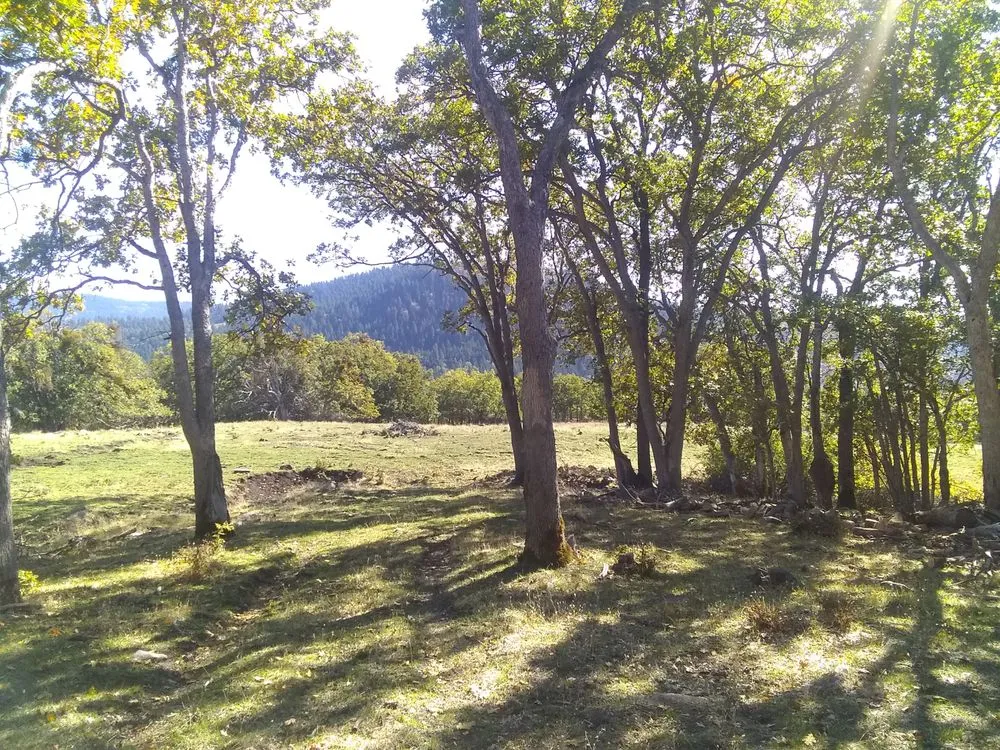 Custom landscape installation experts serving Gold Beach, OR - Fire Safe Landscapes