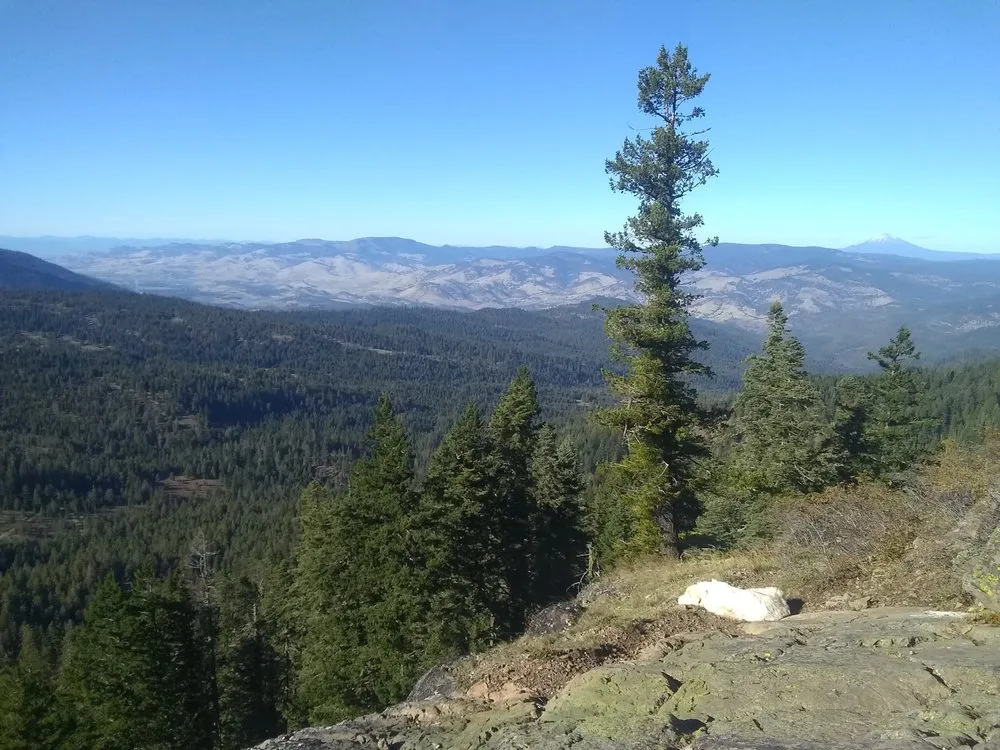 Top-rated residential landscaping in Gold Beach, OR - Fire Safe Landscapes