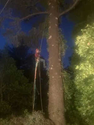 Fire Safe Landscapes