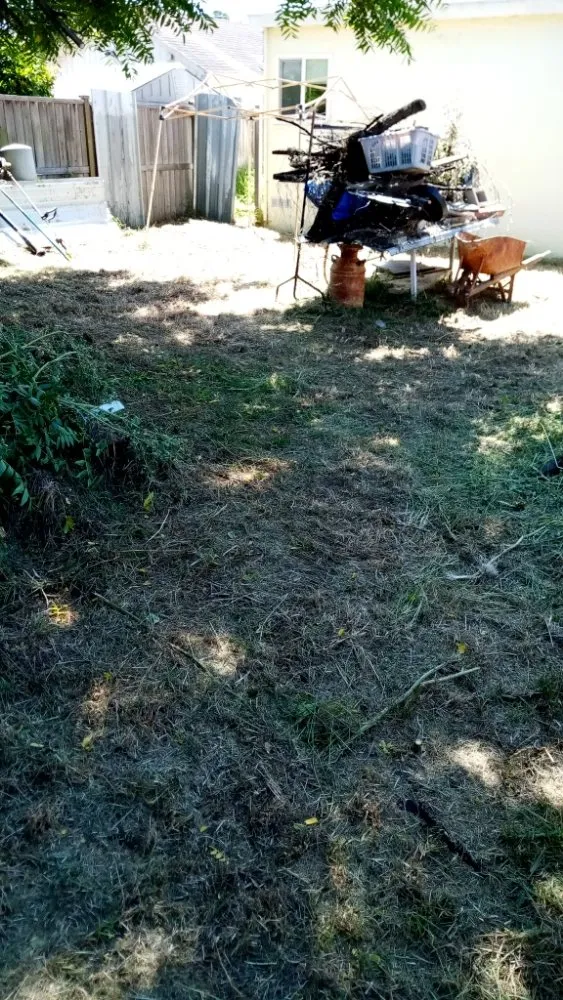 Affordable lawn care service in San Pablo, CA by Fire smoke landscape on going