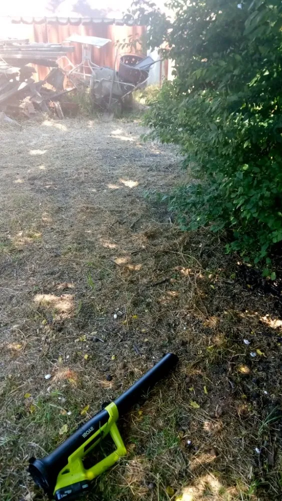 Top-rated lawn care service in San Pablo, CA - Fire smoke landscape on going