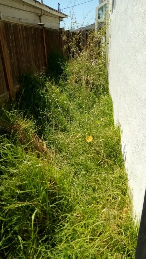 Custom outdoor landscaping in San Pablo, CA by Fire smoke landscape on going