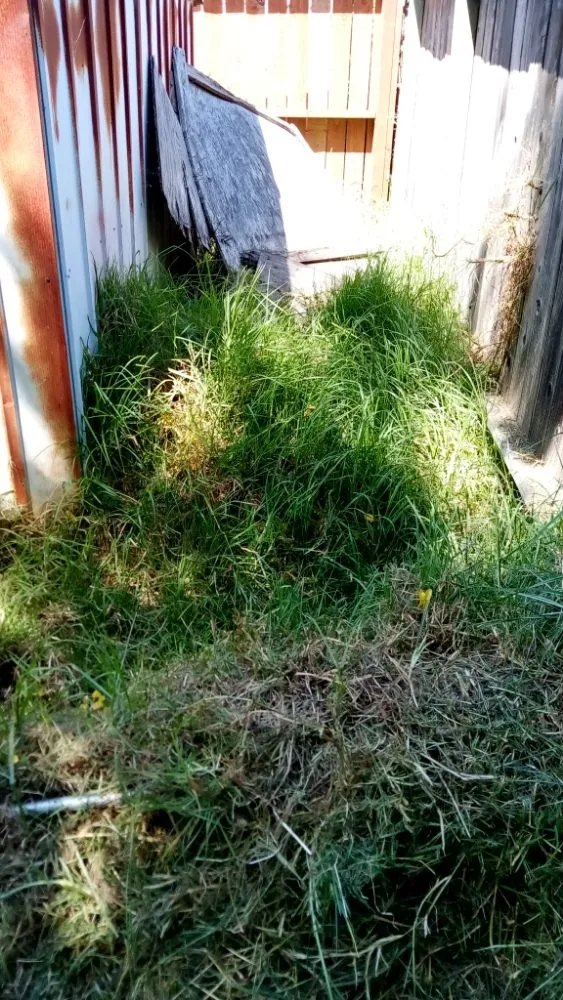 Trusted landscaping services with custom design in San Pablo, CA by Fire smoke landscape on going