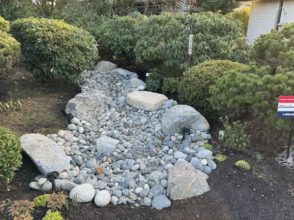 Reliable yard cleanup service in Everett, WA - Fire Sparrow Landscaping