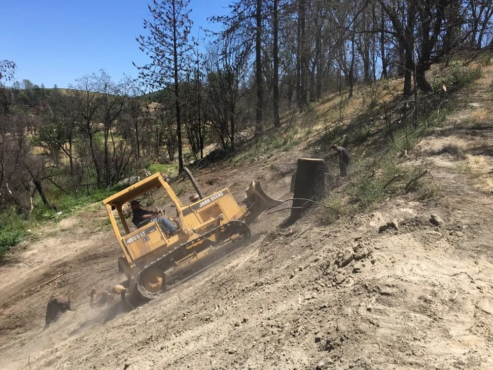 Local yard cleanup service for outdoor upgrades in Loch Lomond, CA by Fire Wise Landscaping