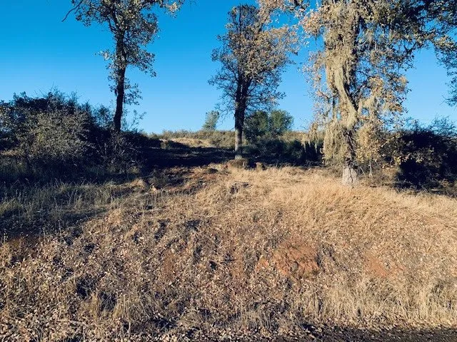 Expert residential landscaping in Loch Lomond, CA - Fire Wise Landscaping