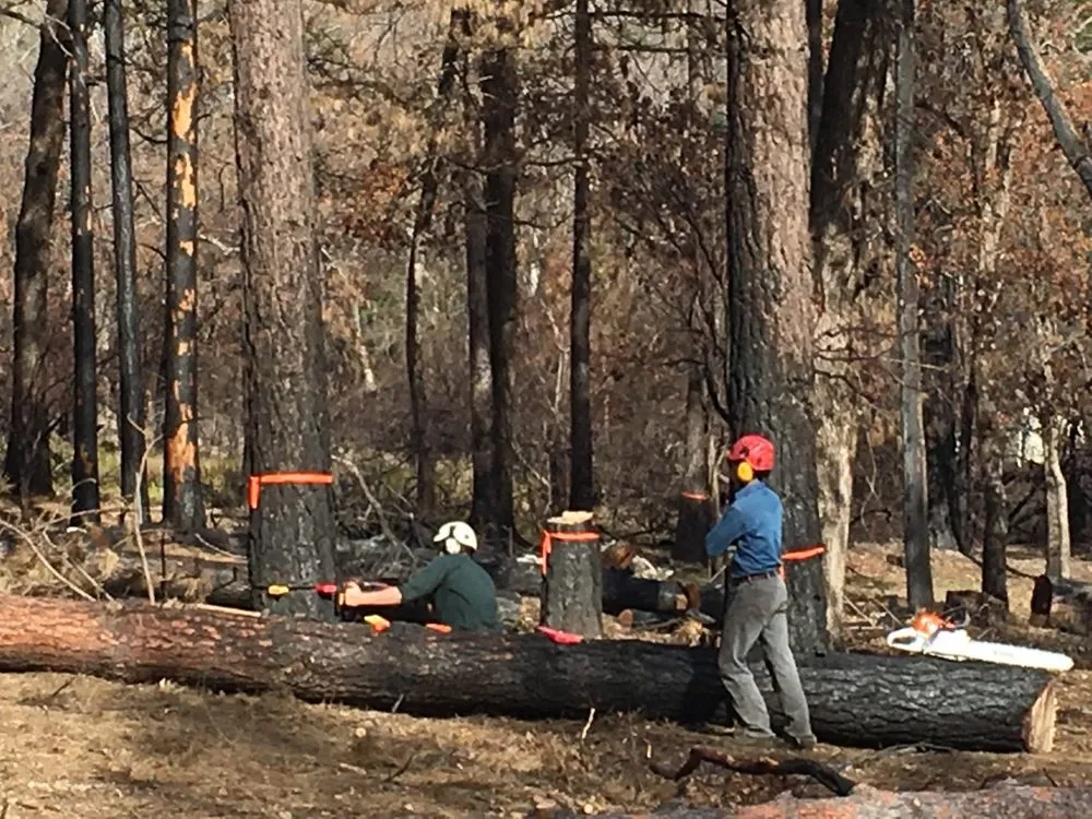 Local landscape installation with custom design across Loch Lomond, CA - Fire Wise Landscaping