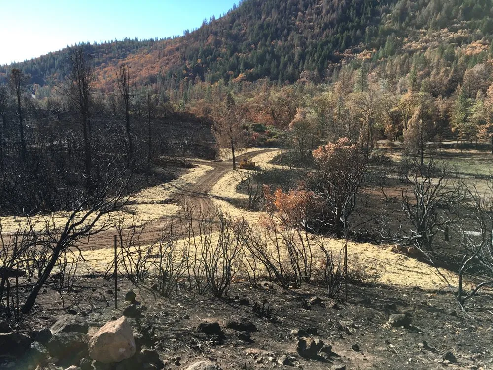 Expert landscape installation for beautiful yards in Loch Lomond, CA by Fire Wise Landscaping