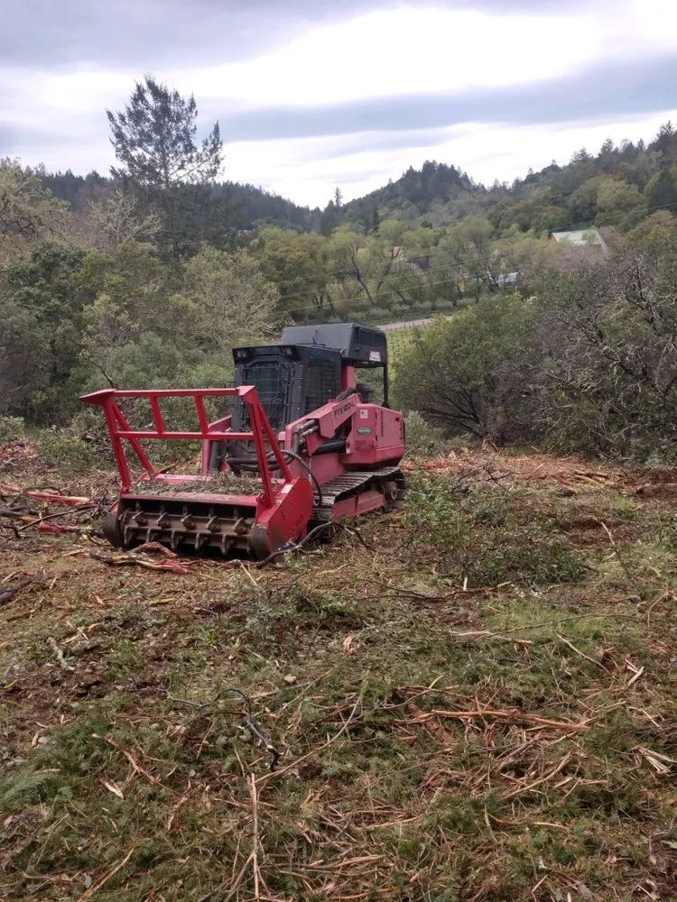 Custom lawn care service in Loch Lomond, CA by Fire Wise Landscaping